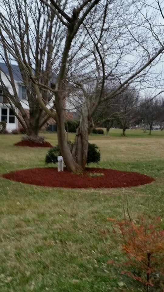 Landscape Design for John Page Landscaping in St. Mary's County, MD