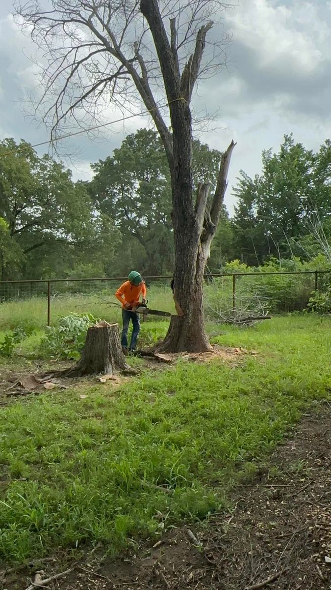 Tree Removal & Trimming for Teague Trees & Landscaping in Rendon, TX