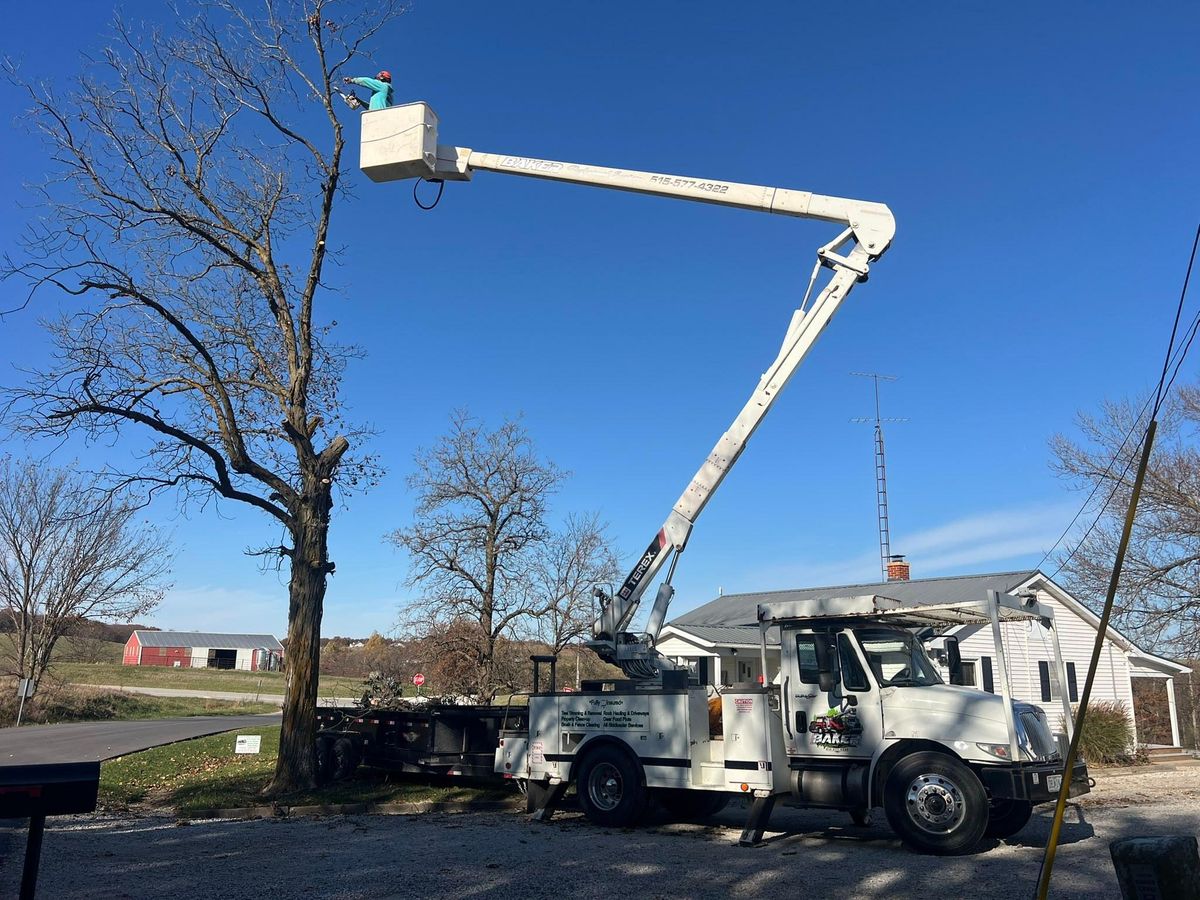Property Clean Up for Baker Professional Services LLC in Shelbina, MO