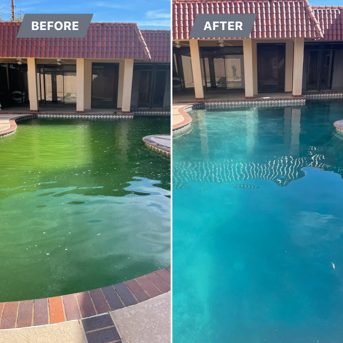 Green to Clean for Pool Serv Pro in Addison, TX