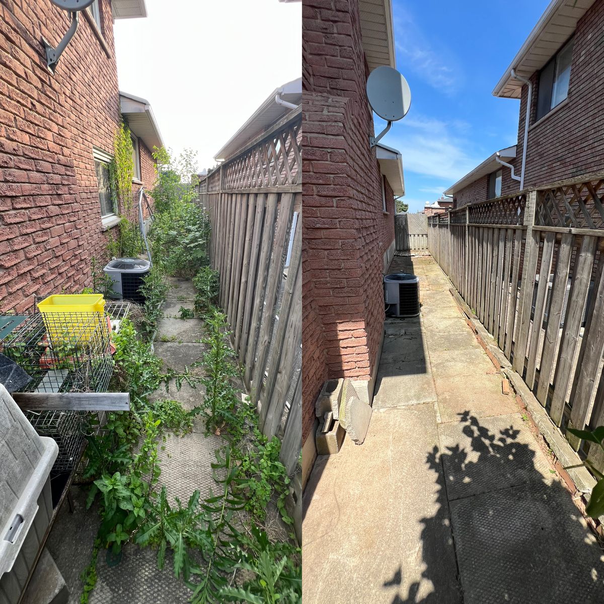 Tree and Shrub removal for CMN Exterior Maintenance in Hamilton, ON