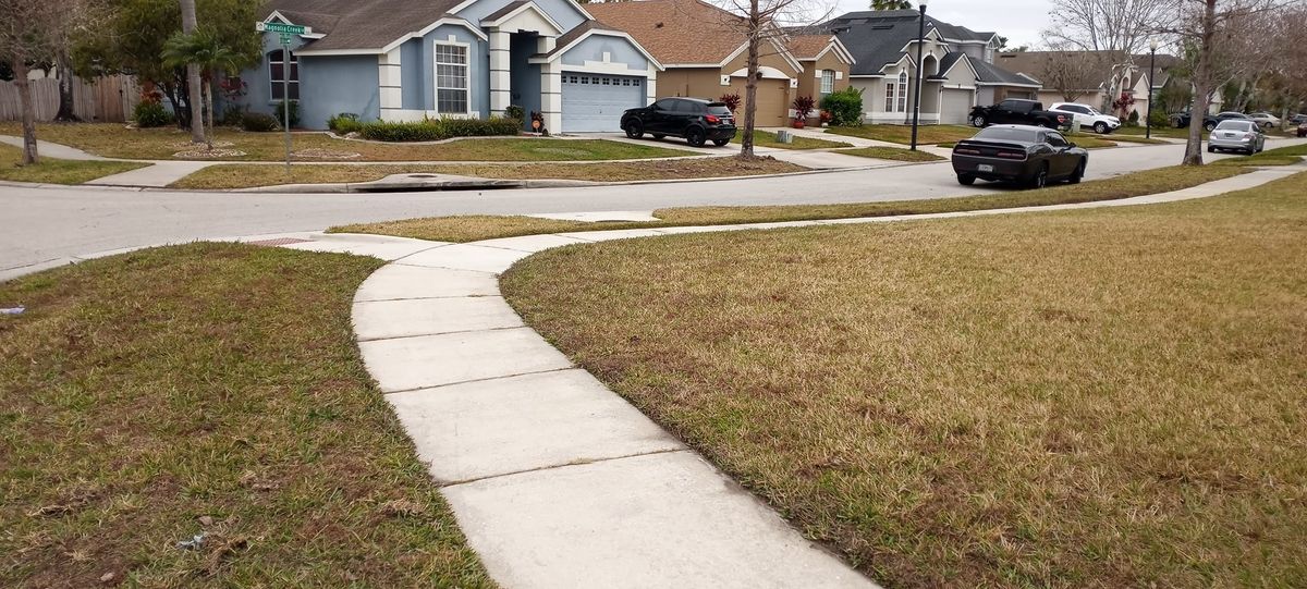 Driveway Painting for Bradley Bradshaw Painting in Christmas, FL