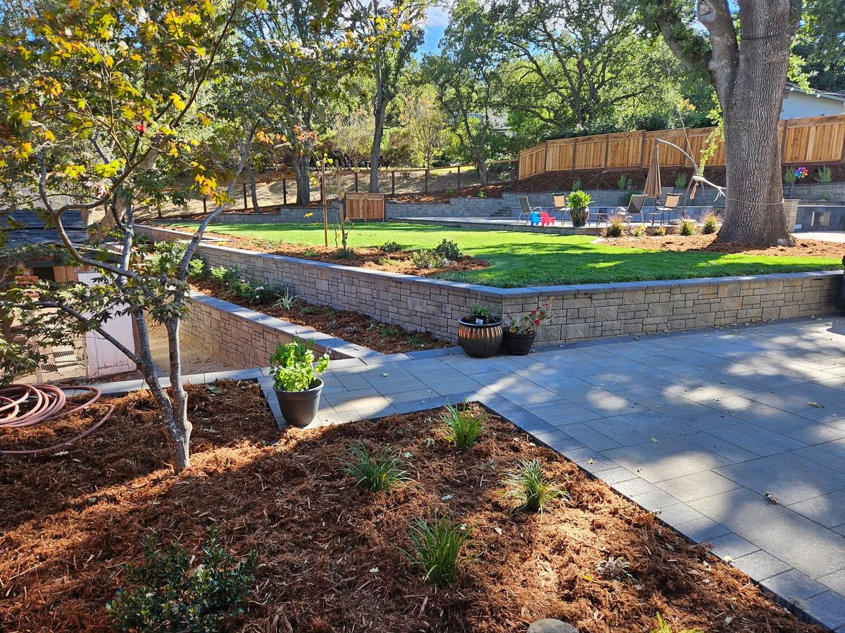 Horticultural Design for Martin Stanko Landscape Construction in Livermore, CA