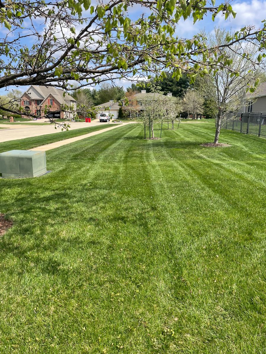 Lawn Maintenance for MDR Landscaping in Urbana, IL