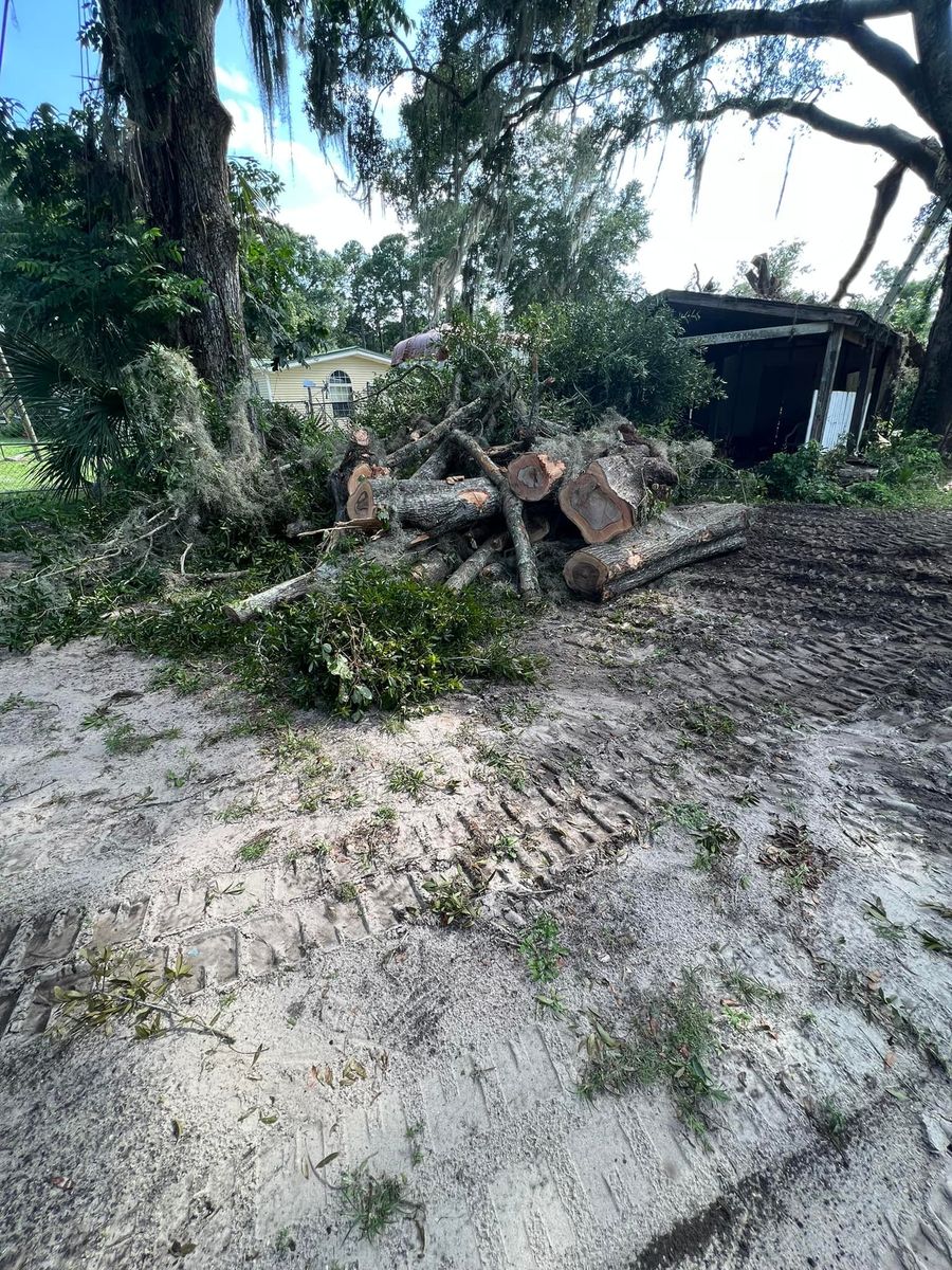 Stump Removal for B&C Tree Trimming Services in Jasper, FL