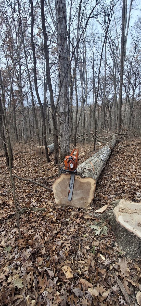 Timber Management for God's Country Timber Management in Hillsdale, MI