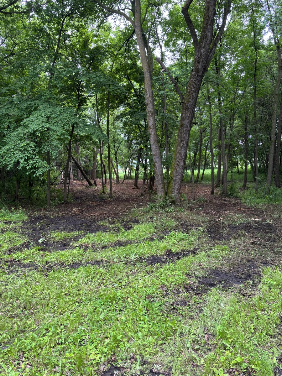 Underbrush Clearing for Root Land Management in Watkins, MN