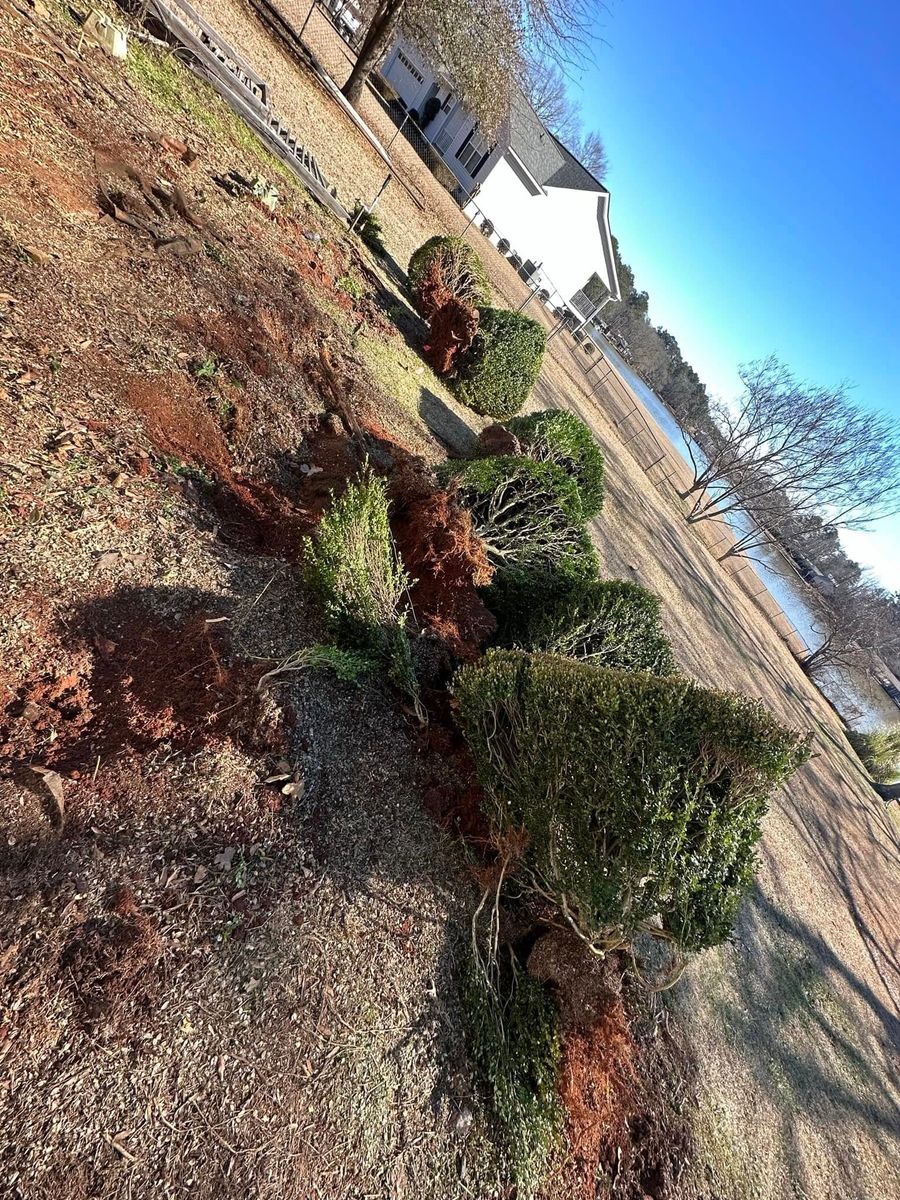 Shrub Removal for Jameson’s Landscaping & Pressure Washing in Eatonton, GA