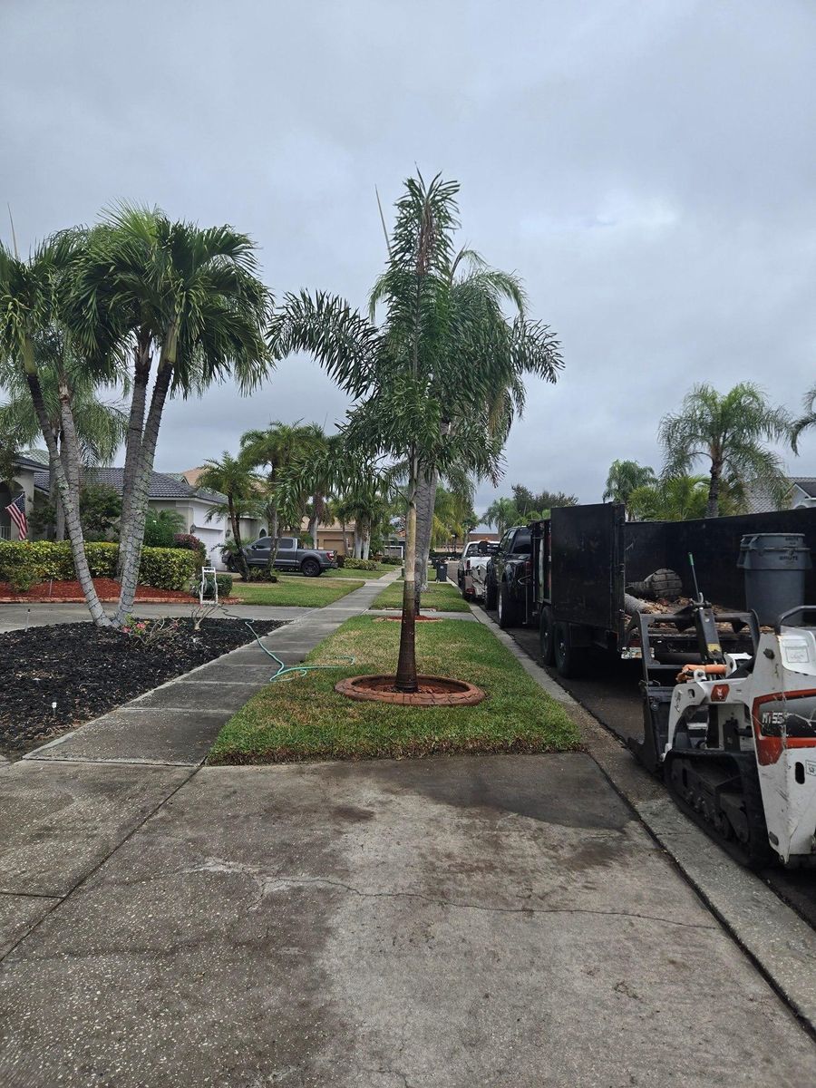 Tree Planting & Landscape Services for TREE BOYS in Ruskin, FL