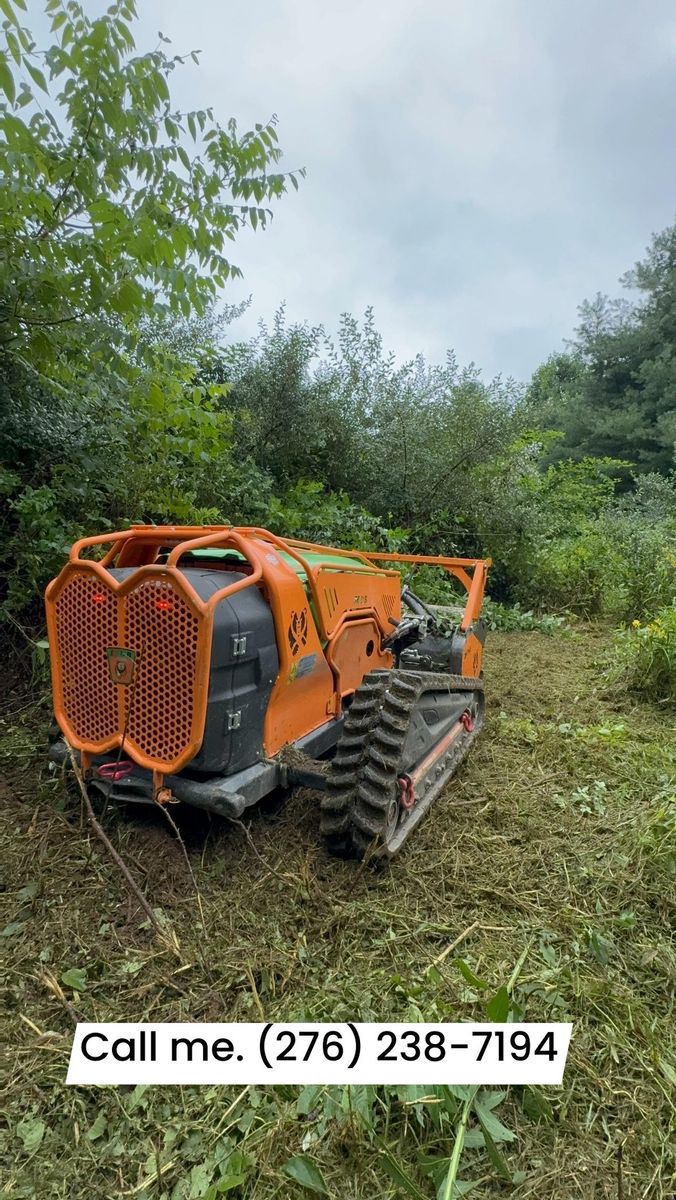 Vegetation Removal for Mountain Goat Land Management in Galax, VA