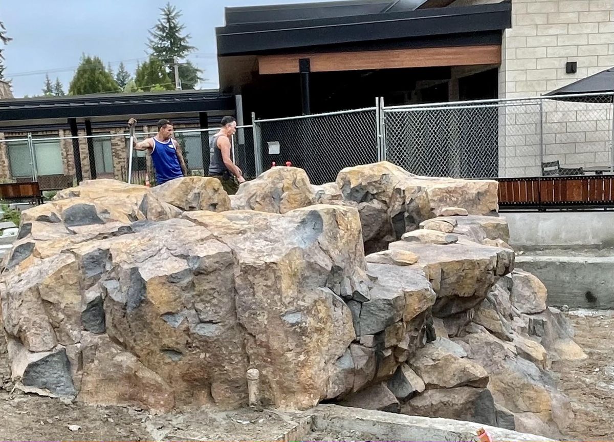 Landscaping for Texas Curb N Borders in Houston, TX