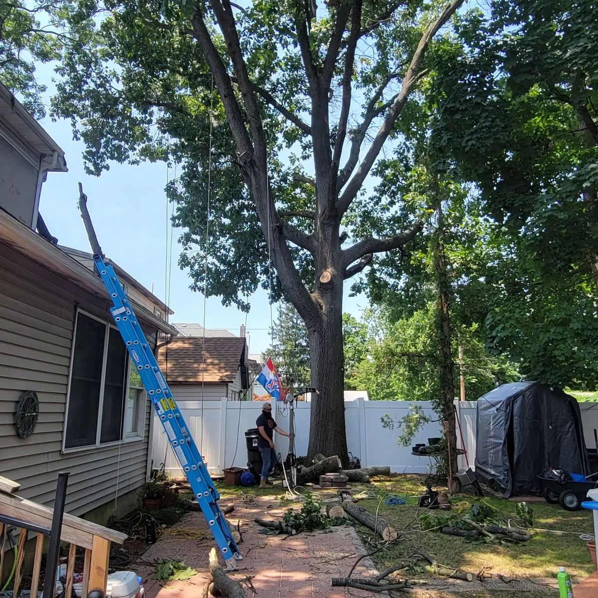 Tree Removal for Timber Arts Tree Service in Lindenwold, NJ 