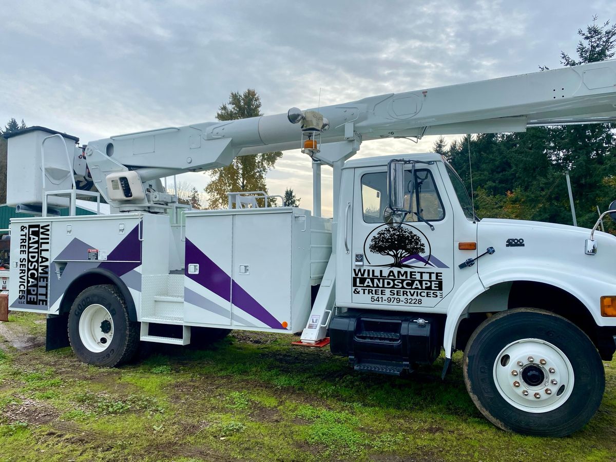 Tree Trimming for Local Tree Removal & Landscaping You Can Trust  in Albany, OR