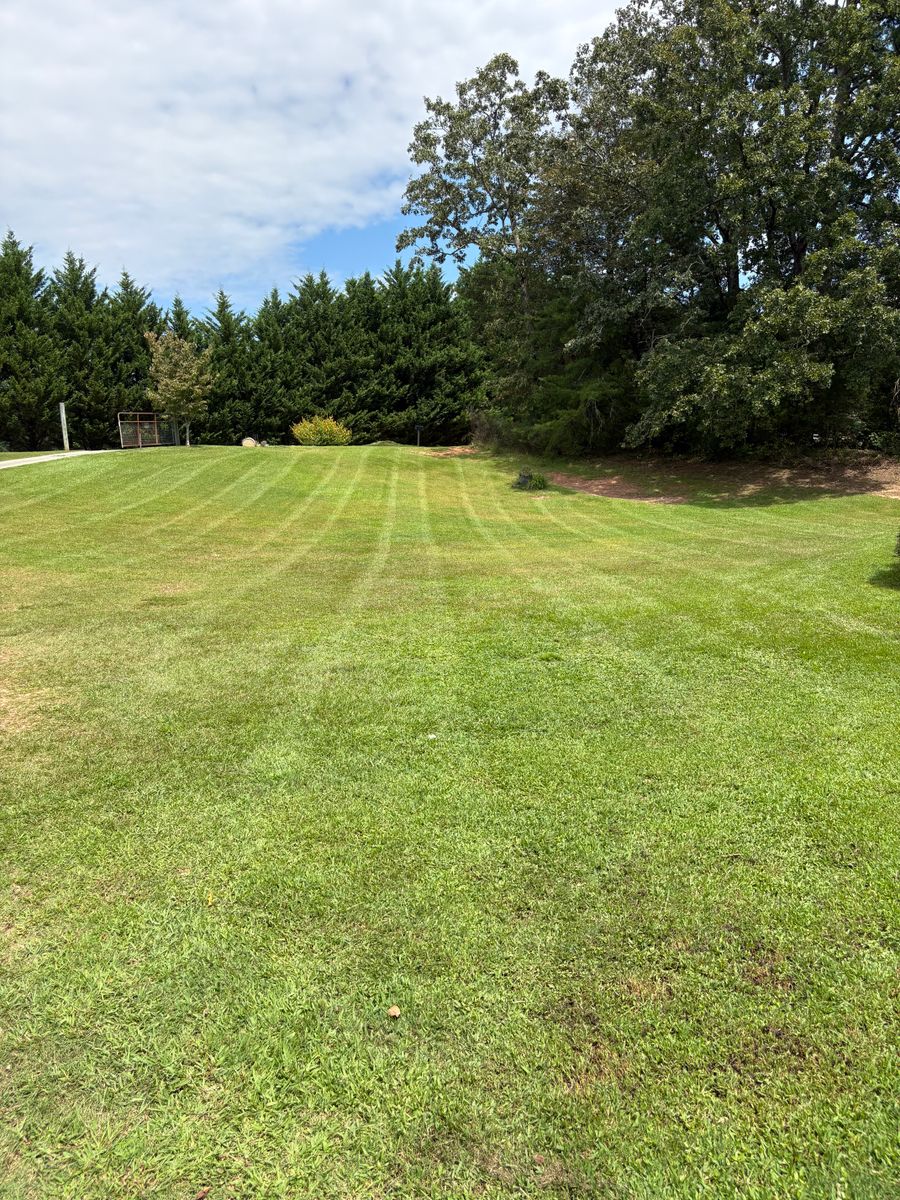 Landscape Design for Taylormade Lawn Management in Clarkesville, GA