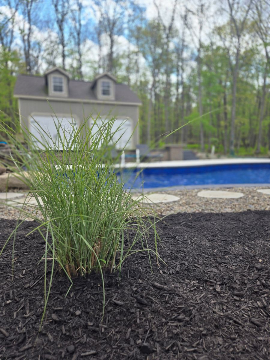 Planting & Pruning for Tony Monaco Landscaping Inc. in Orange County, NY