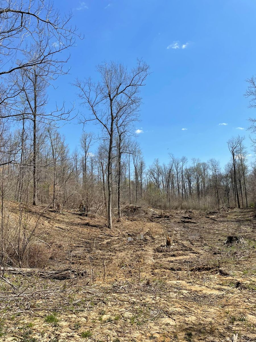 Land Clearing & Demolition for Beaver Excavating Services in Friendship, TN