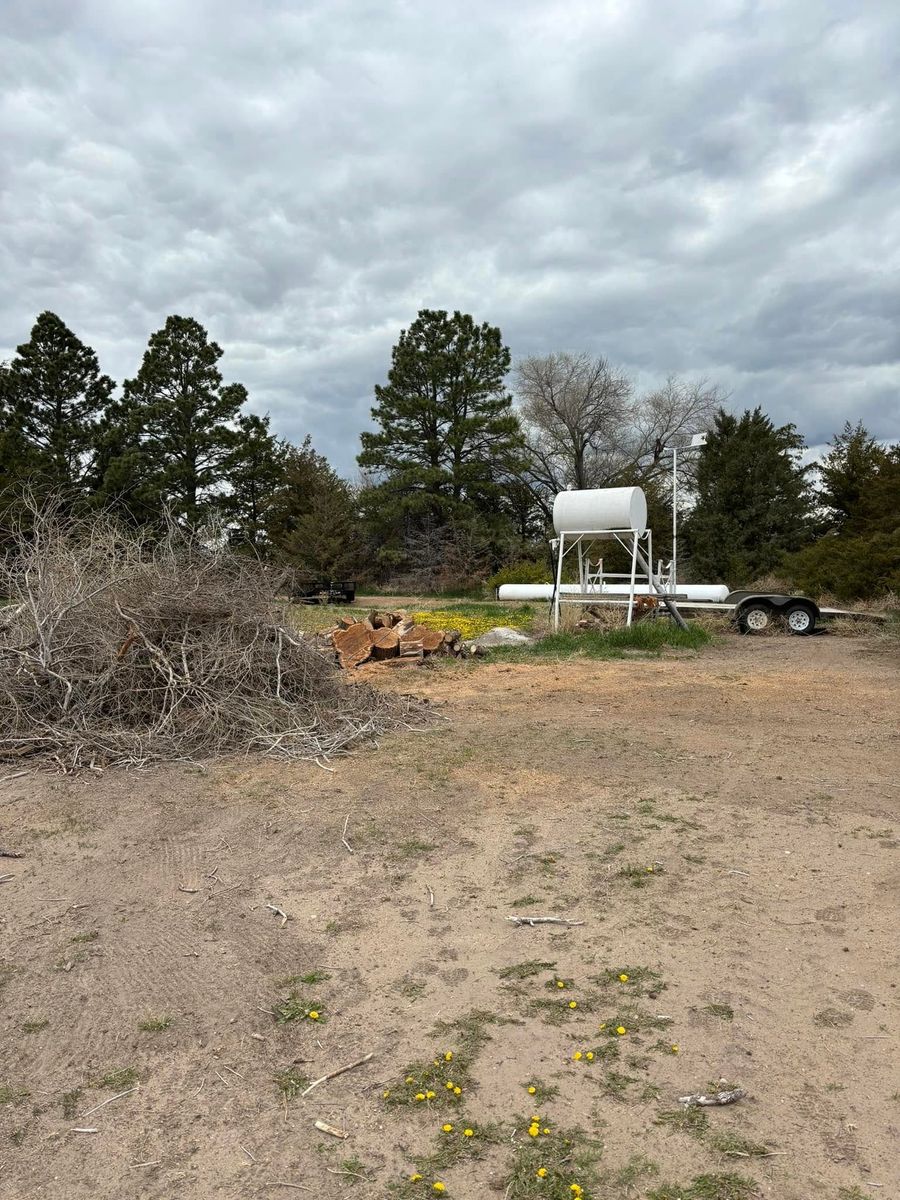 Fall Clean Up for Graham’s Tree Services in Pierce, CO