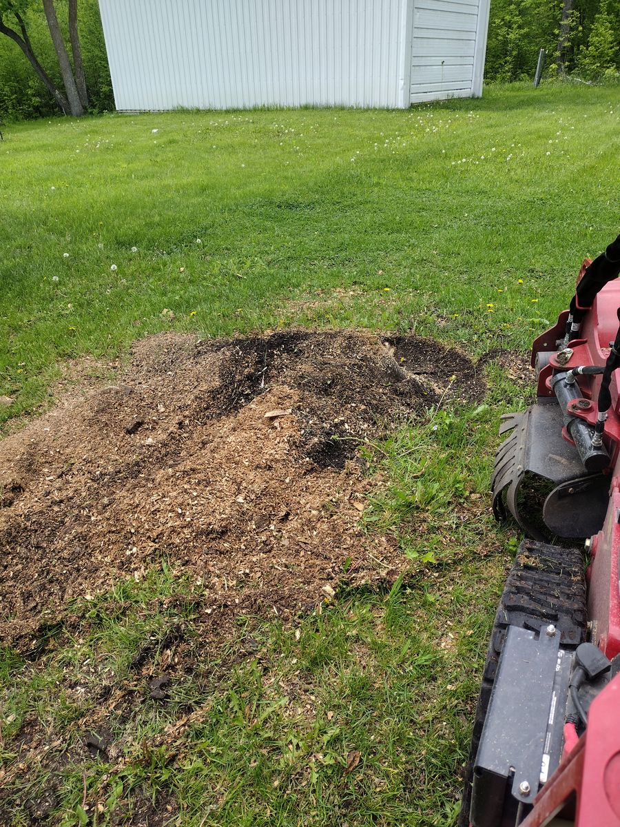 Stump Removal for Dan's tree service in Bemidji, MN