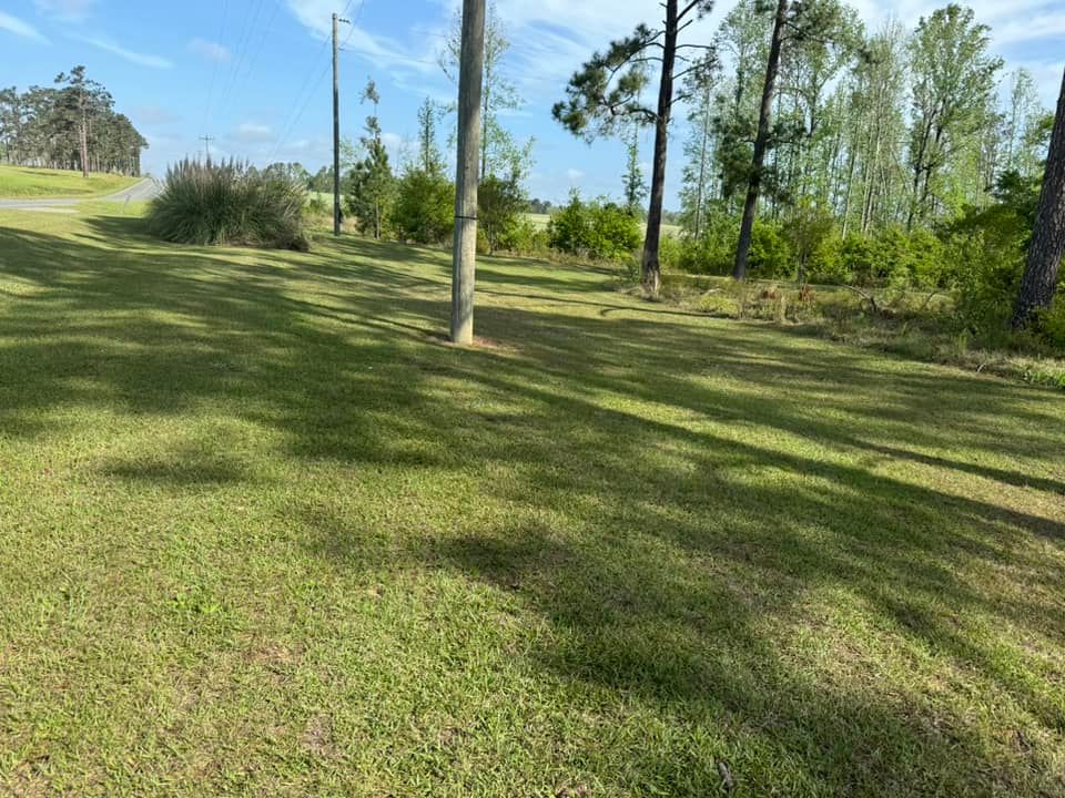 Lawn Maintenance for Sierra Verde Landscaping in Vidalia, GA