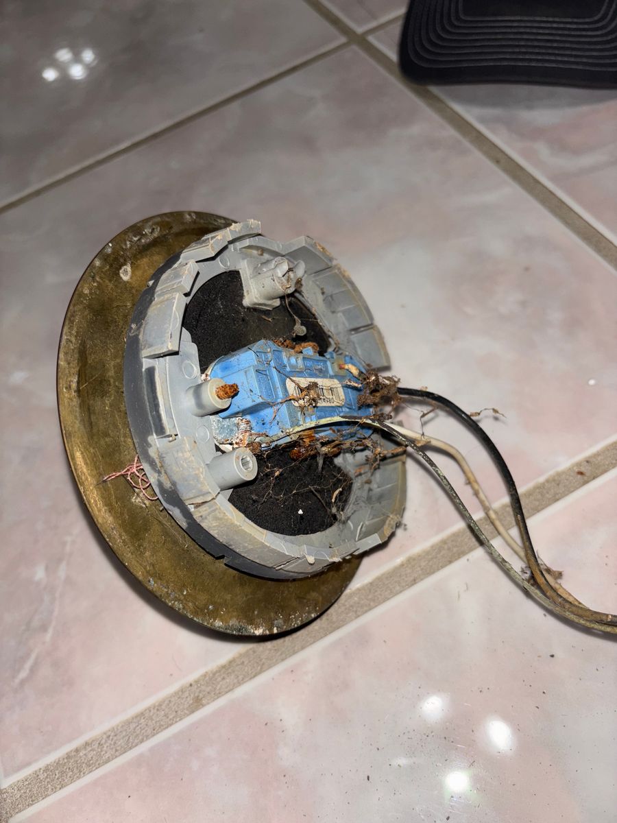 Outlet and Switch Installation for Southern Circuits in Prairieville, LA