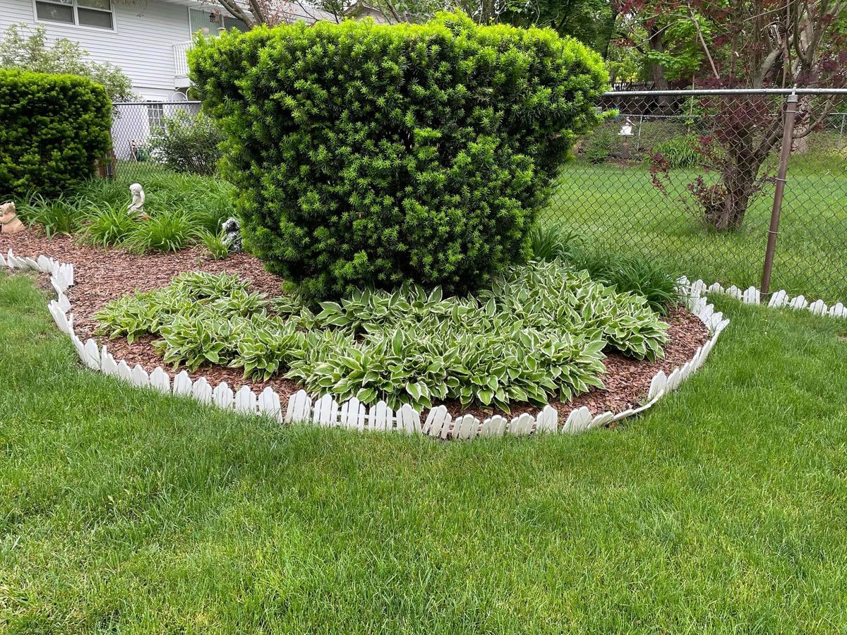 Shrub Trimming for Cena Landscaping in Rockford, IL