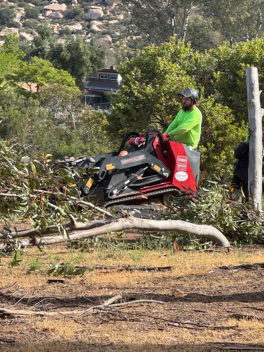Tree Services for The Tree Fairy in Julian, CA