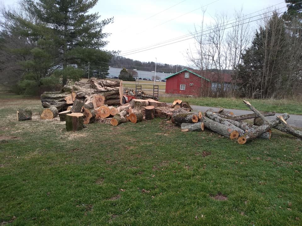 Tree Experts for Scott's Tree Service in Athens, TN