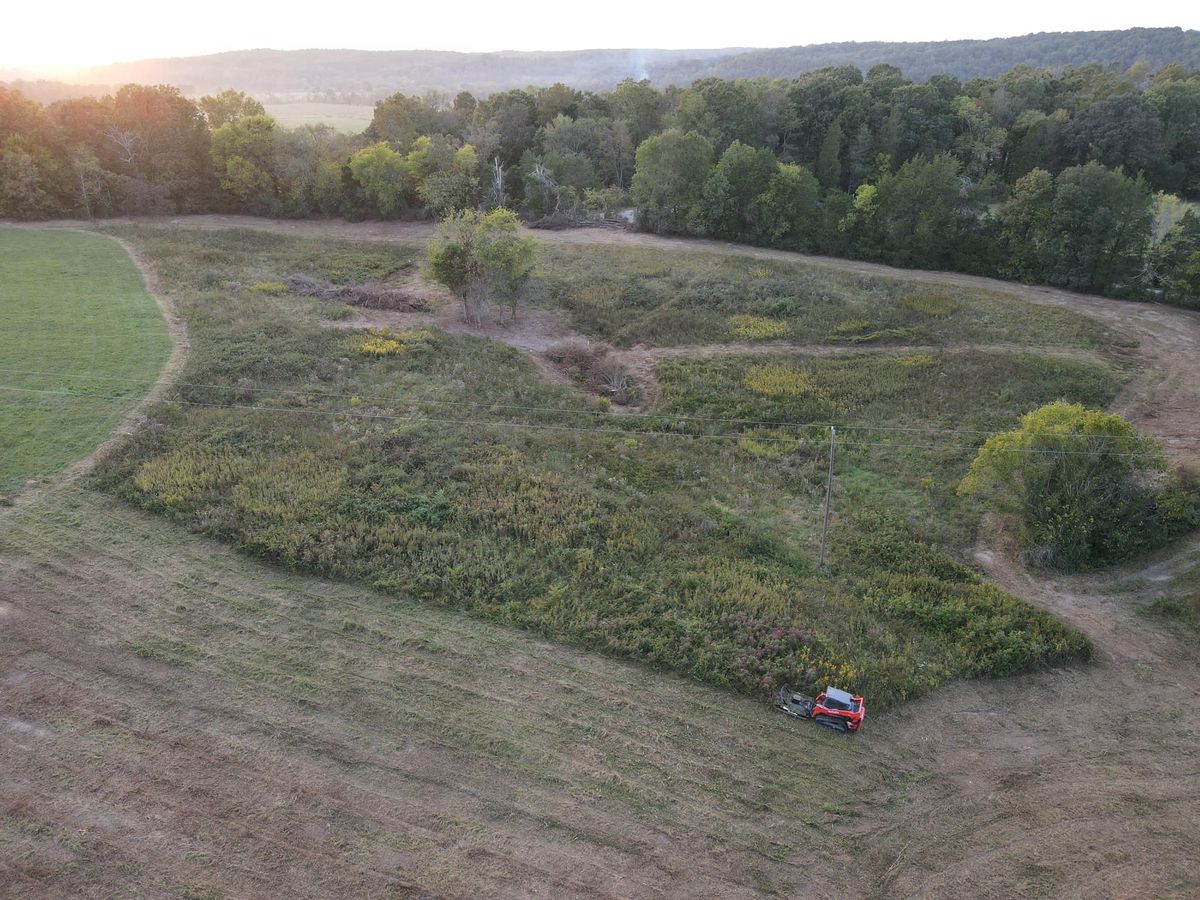 Land Clearing for Thickets Land Clearing & Excavation in Hohenwald, TN