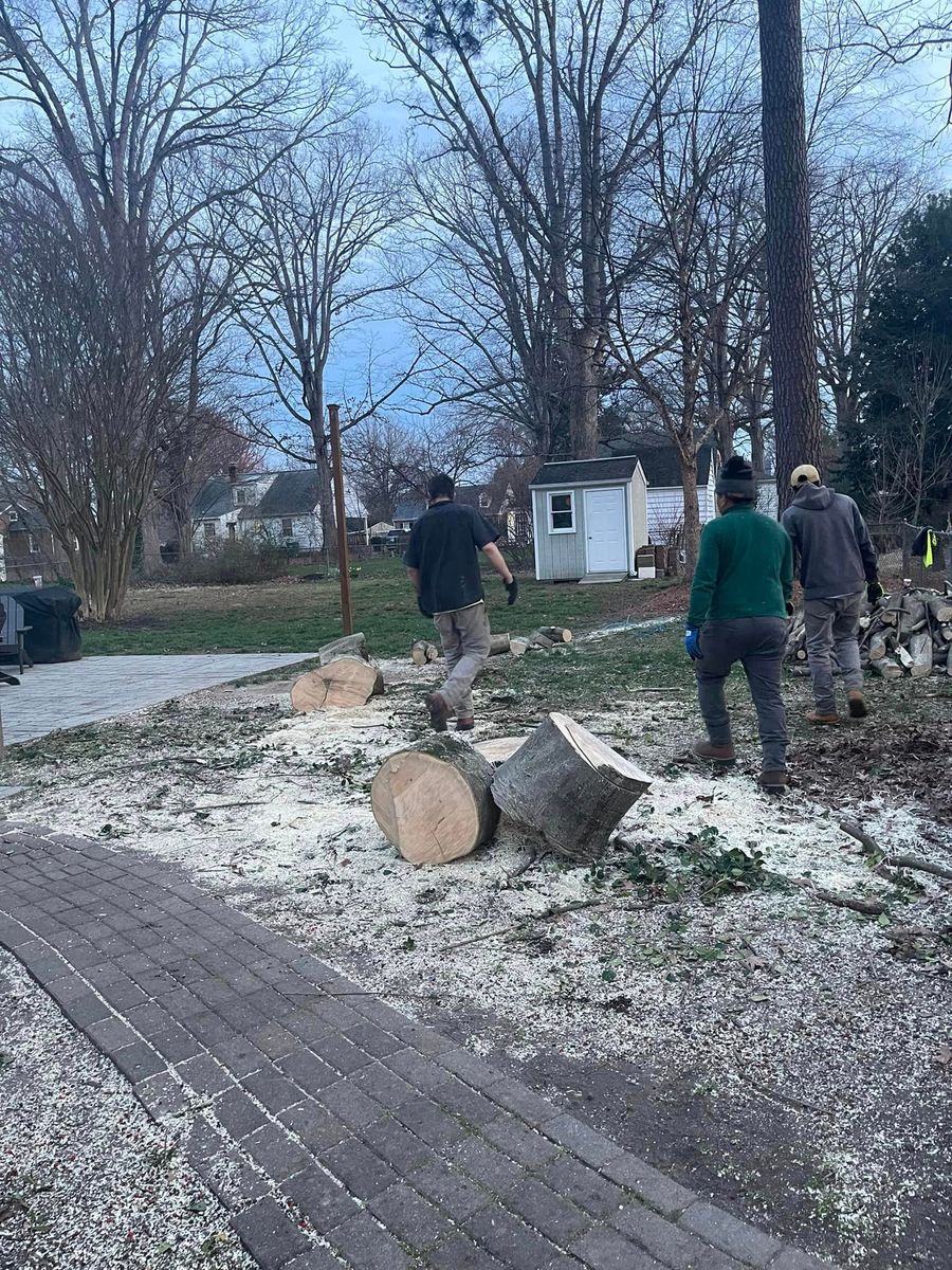 Storm CleanUp  for Ricky's Tree Service & Property Care in Orange, VA