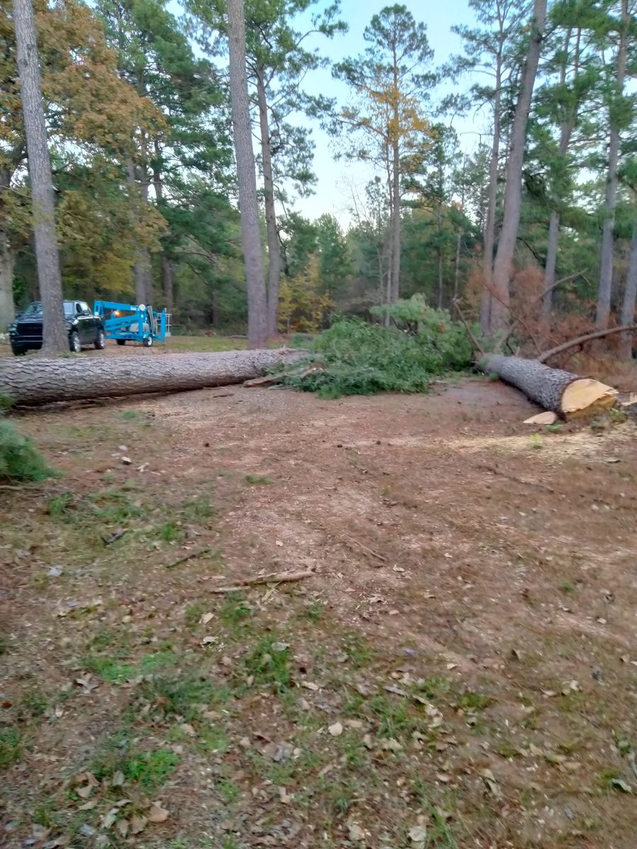 Tree Removal for J&S Tree Services  in Quitman,  TX