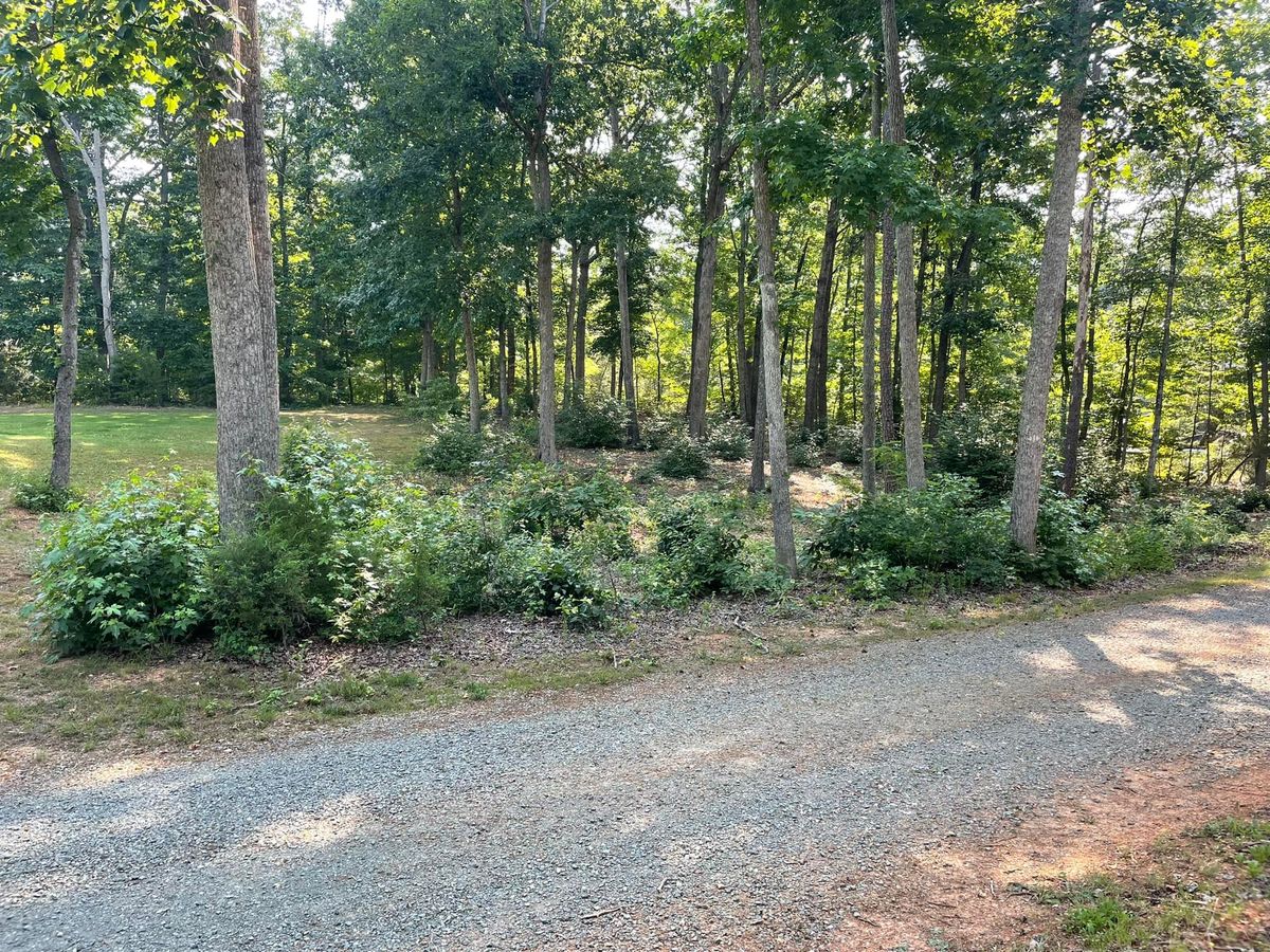 Bush Hogging for Cedar Point Land Management in Richmond, VA