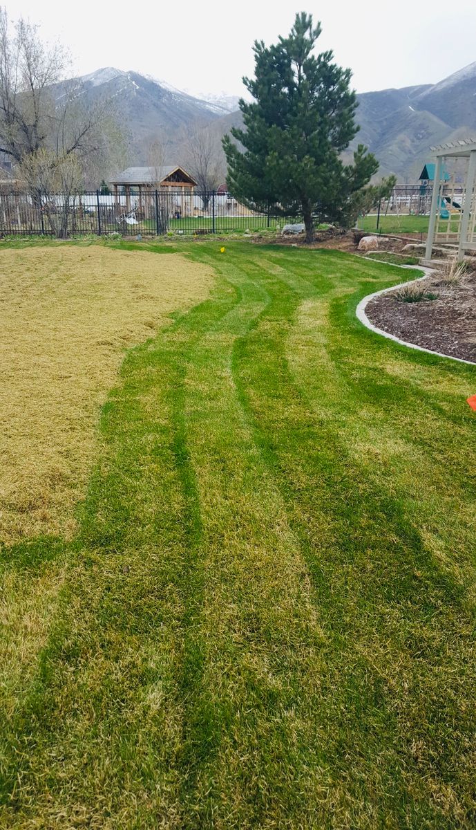 Mowing for Platinum Lawn Service in Santaquin, UT