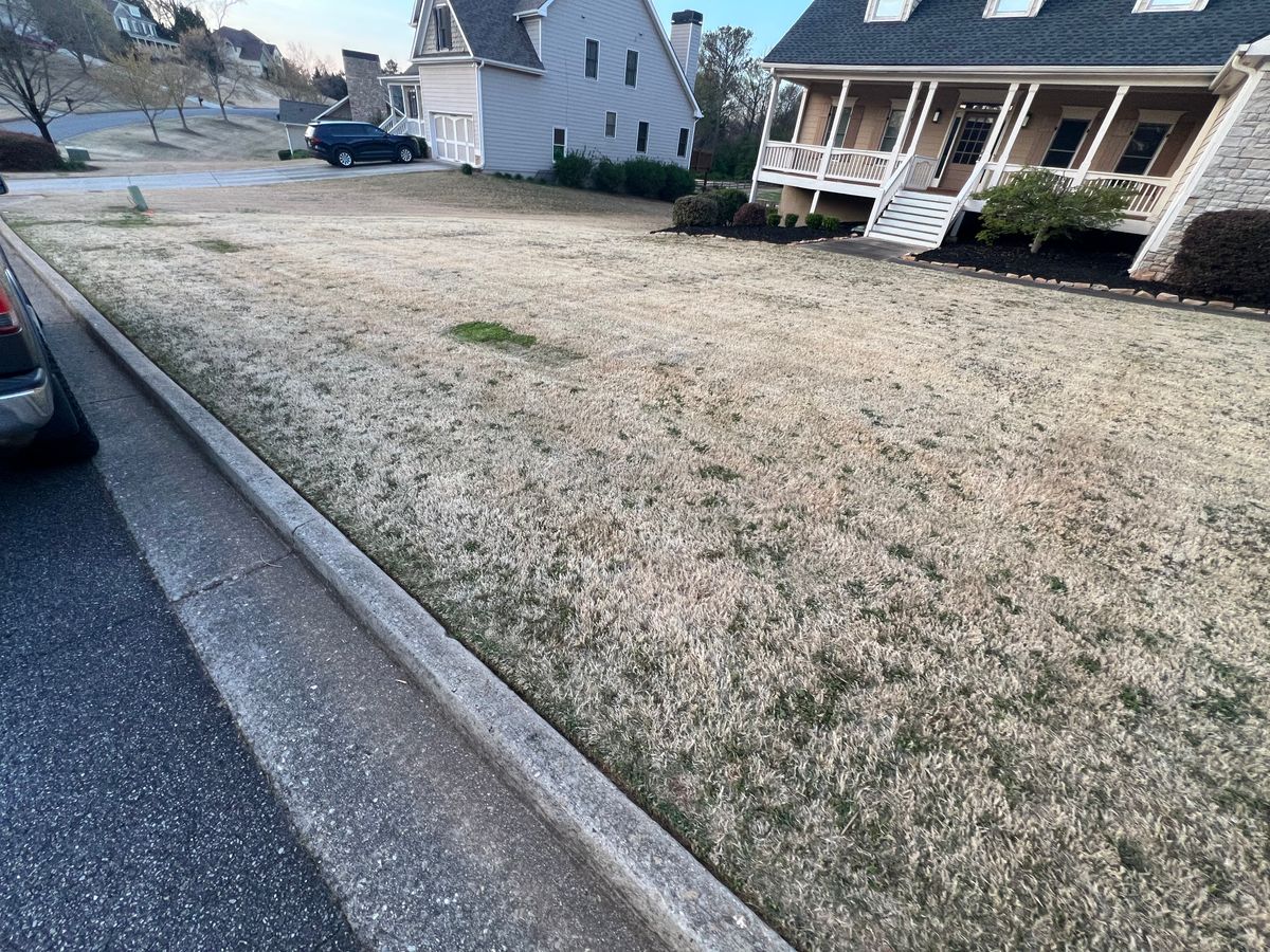 Lawn Care Fertilization for Amerigreen Lawn & Landscape in Duluth, GA