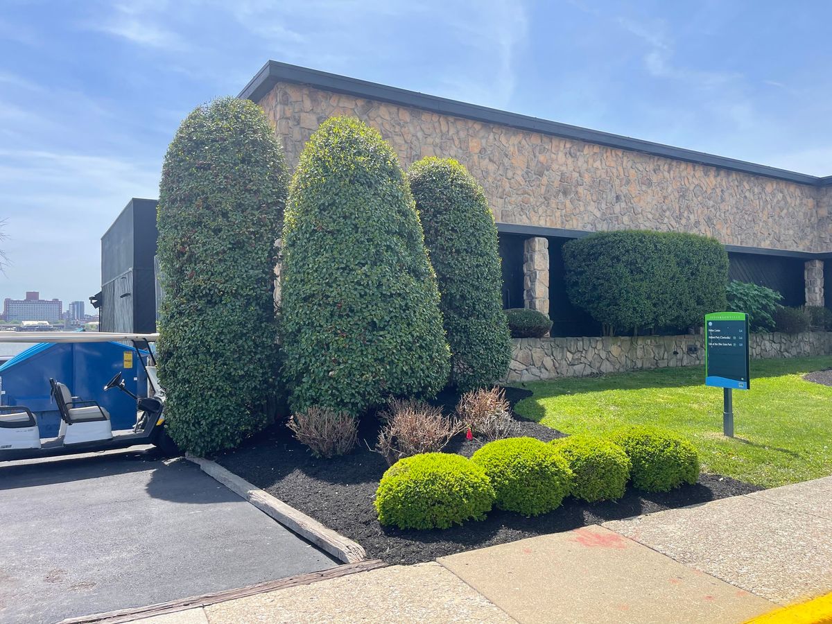 Shrub Trimming for Lamb's Lawn Service & Landscaping in Floyds Knobs, IN