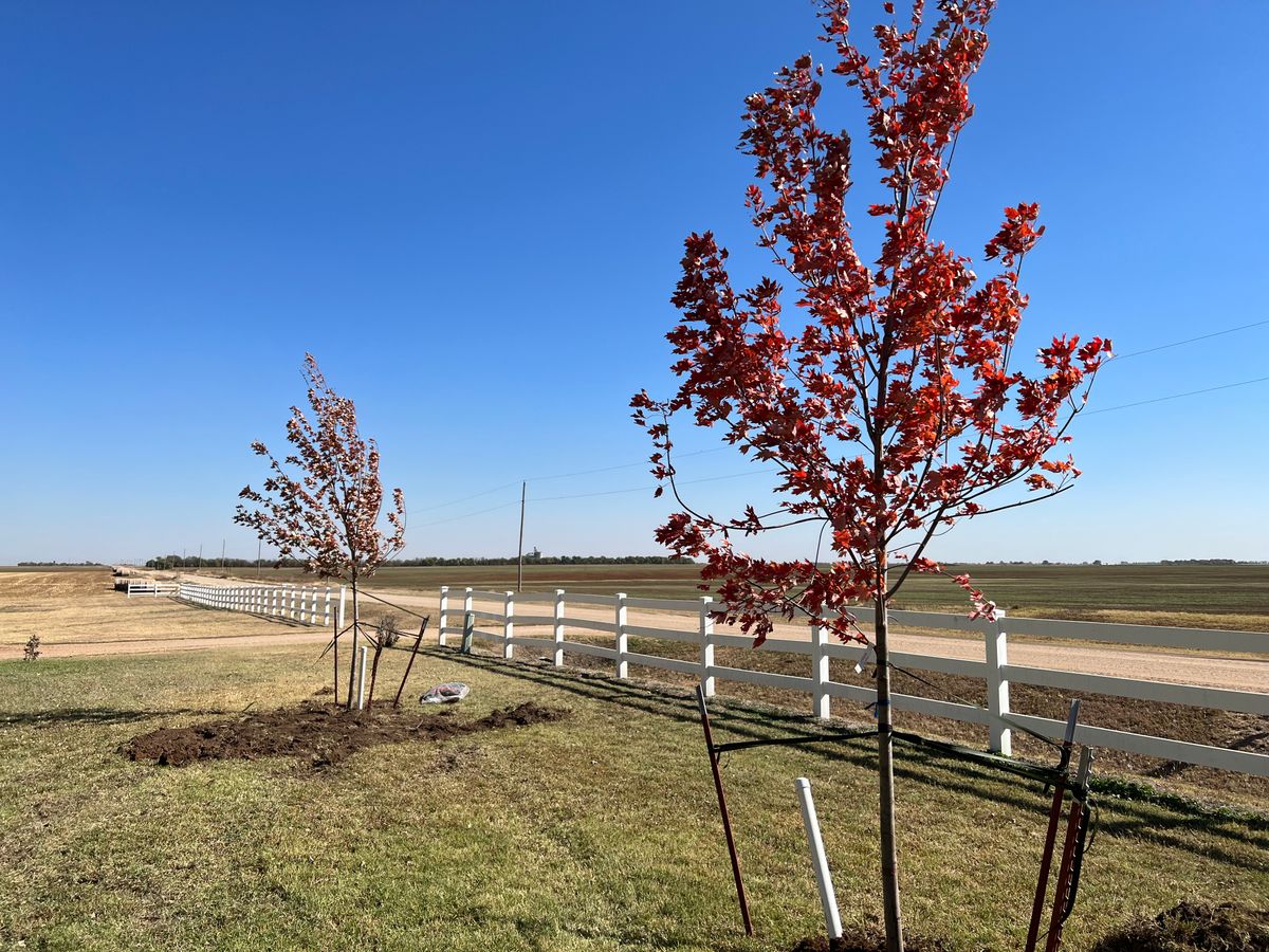 Tree Planting for Jakob’s Lawn Kare in Wichita, KS