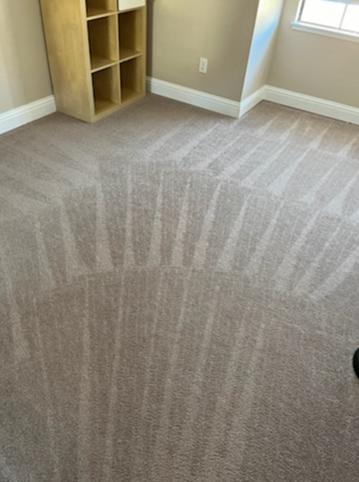 Carpet Cleaning for Randy’s Janitorial in Vallejo, CA