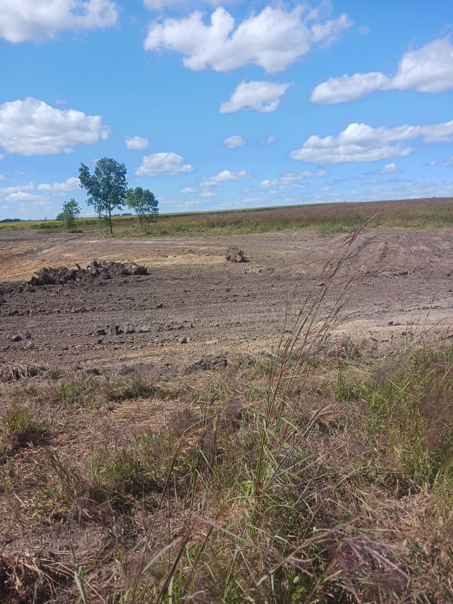 Land clearing for GBA Earthmoving in Keota, IA