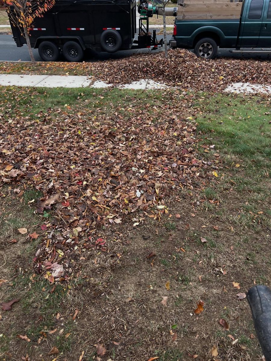 Spring and Fall Clean Ups for Bumblebee Lawn Care LLC in Albany, New York