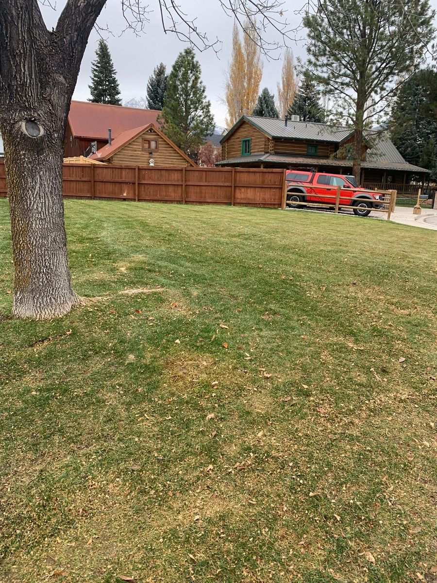 Weed Control for Platinum Lawn Service in Santaquin, UT