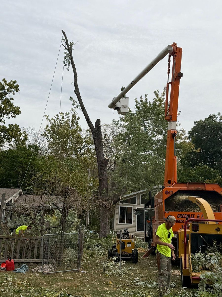 Tree Removal for Greenlee & Family Landscaping Services in Peoria, IL