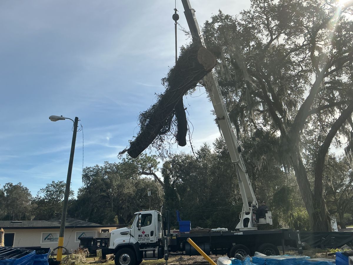 Land Clearing for Amerigrown Tree And Lawn in Apopka, FL