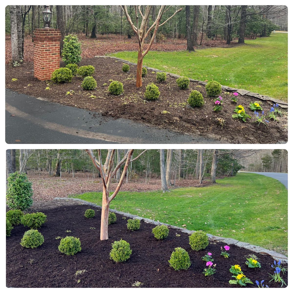 Mulch Installation for Branch Out Tree Care LLC in Fredericksburg, VA