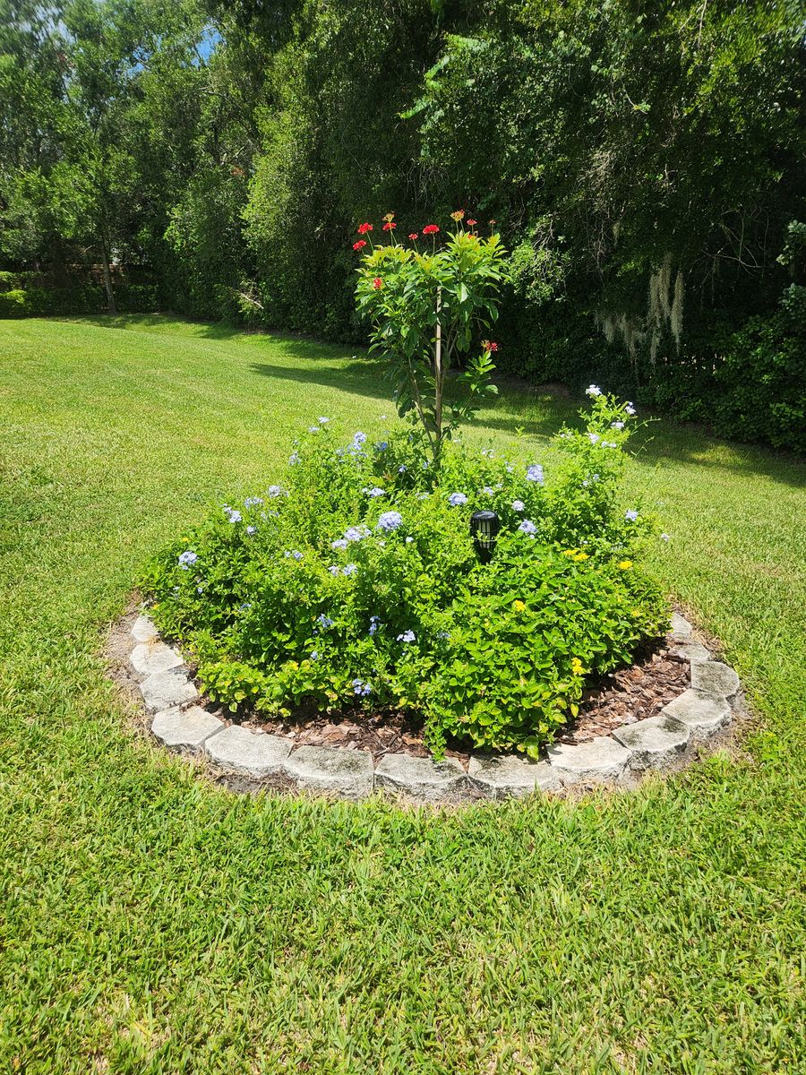 Landscape Design for Nate the Garden Guru in Orlando, FL