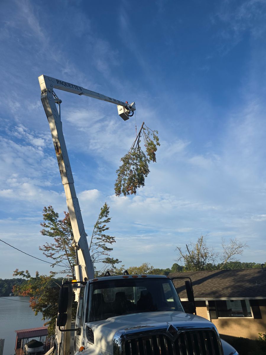 Tree Removal for Paquette's Tree Service in Malvern, AR