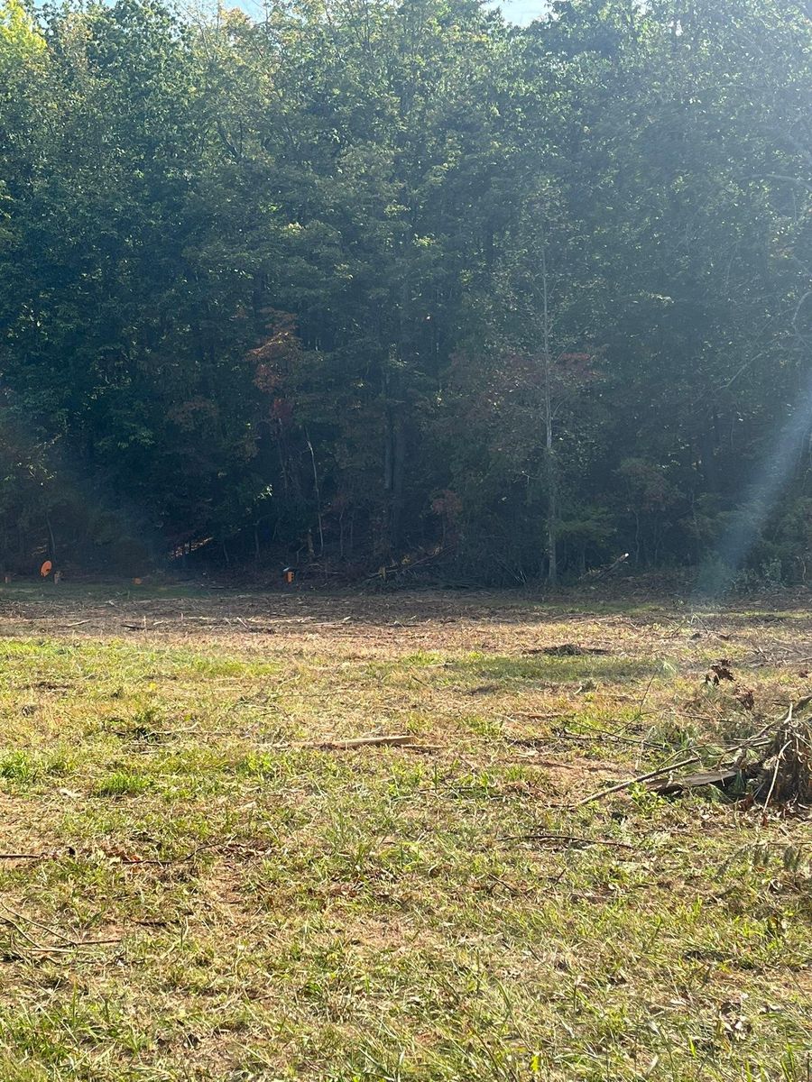 Brush cutting/clearing for Southside Land Management in Gretna, VA