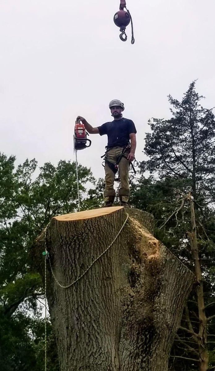 Tree Trimming for Hingewood Tree Service in Salem, NJ