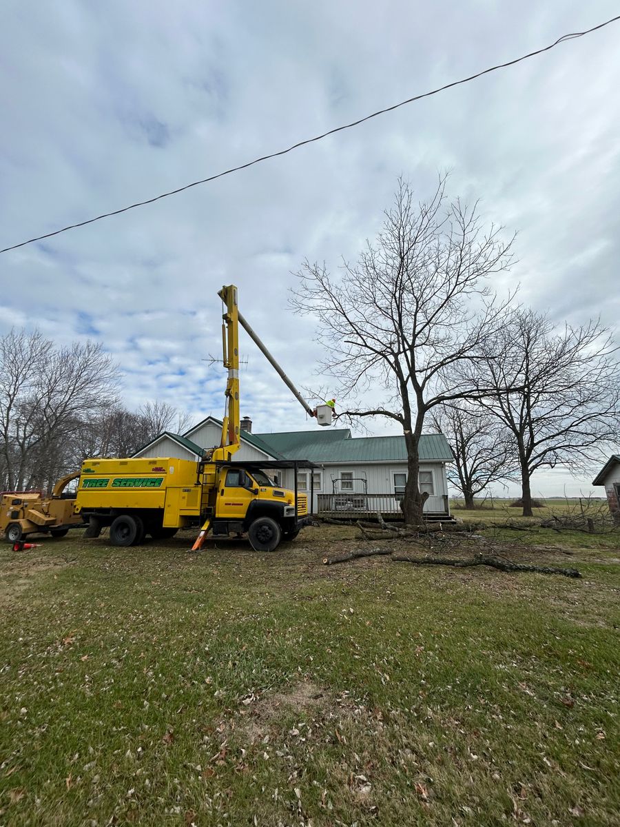 Tree Removal for SMITHs Tree Service in Columbus, IN