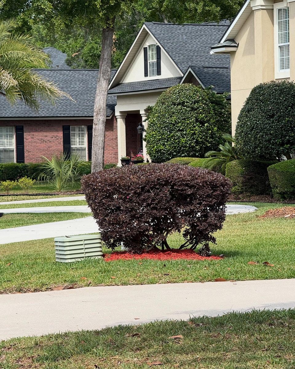 Mulch Installation for Whole 9 Yards Services in Green Cove Springs, FL