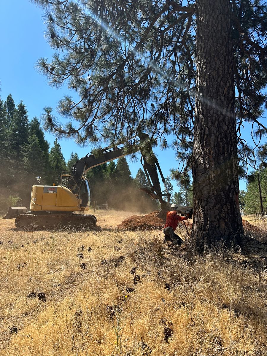 Defensible Space for Tyco Forest Management in Placerville, CA