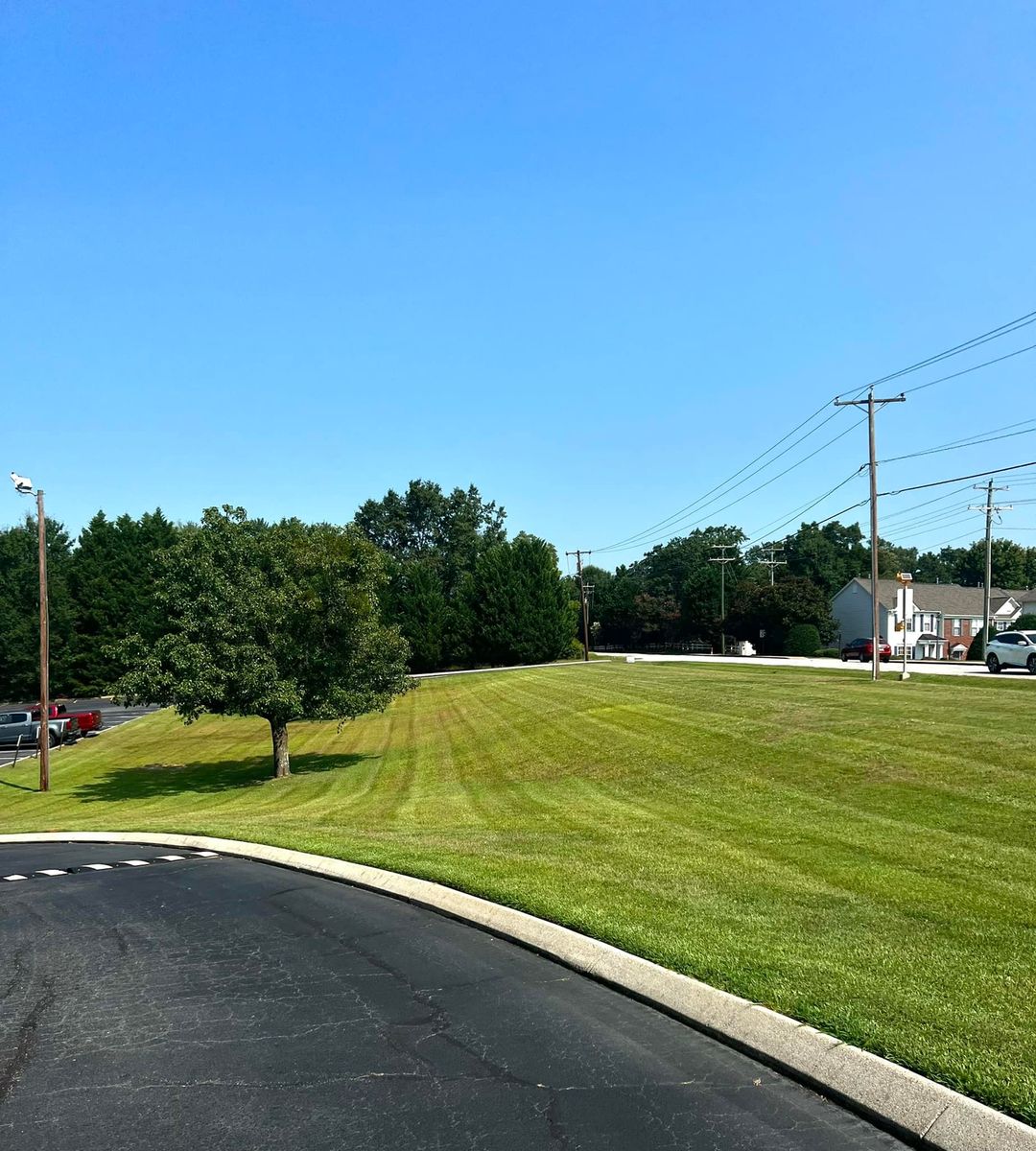 Lawn Aeration for Cody’s Lawn & Landscape in Greer, SC